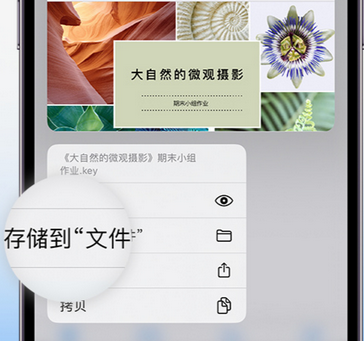 北湖apple维修中心分享iPhone文件应用中存储和找到下载文件