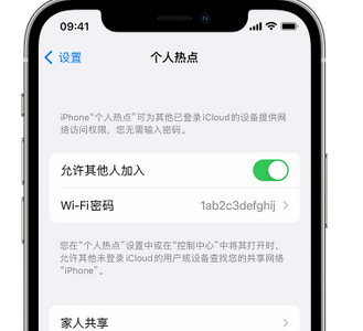 北湖apple服务站点分享iPhone上个人热点丢失了怎么办 