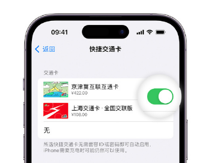 北湖apple维修点分享iPhone上更换Apple Pay快捷交通卡手绘卡面 