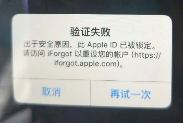 北湖iPhone维修分享iPhone上正常登录或使用AppleID怎么办 