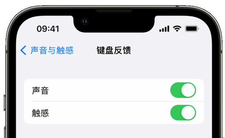 北湖苹果手机维修分享iPhone 14触感键盘使用方法 