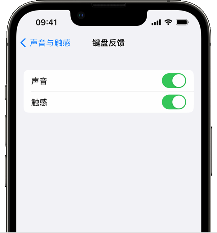 北湖苹果14维修店分享如何在 iPhone 14 机型中使用触感键盘 